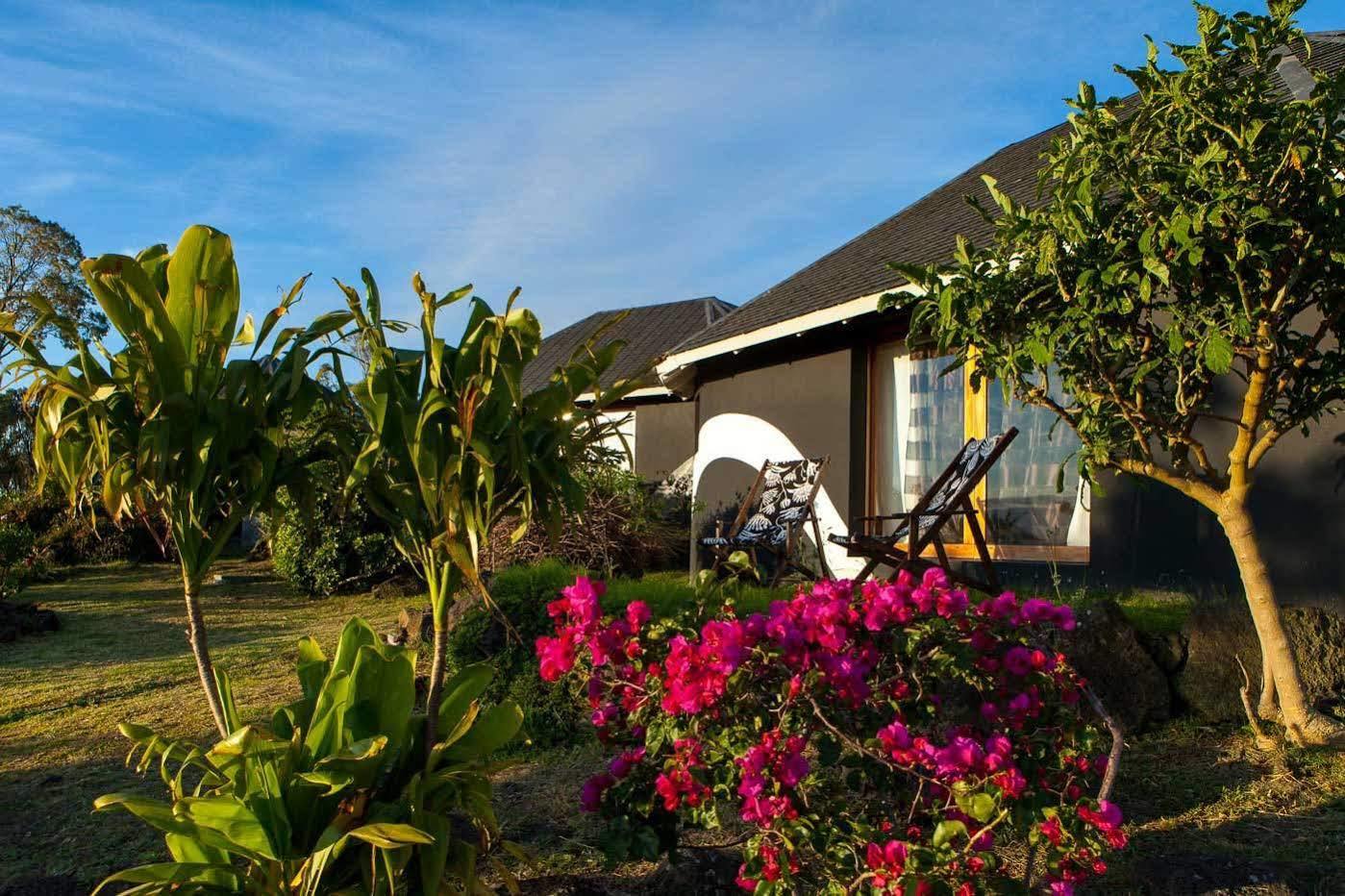Altiplanico Rapa Nui Hotell Hanga Roa Exteriör bild